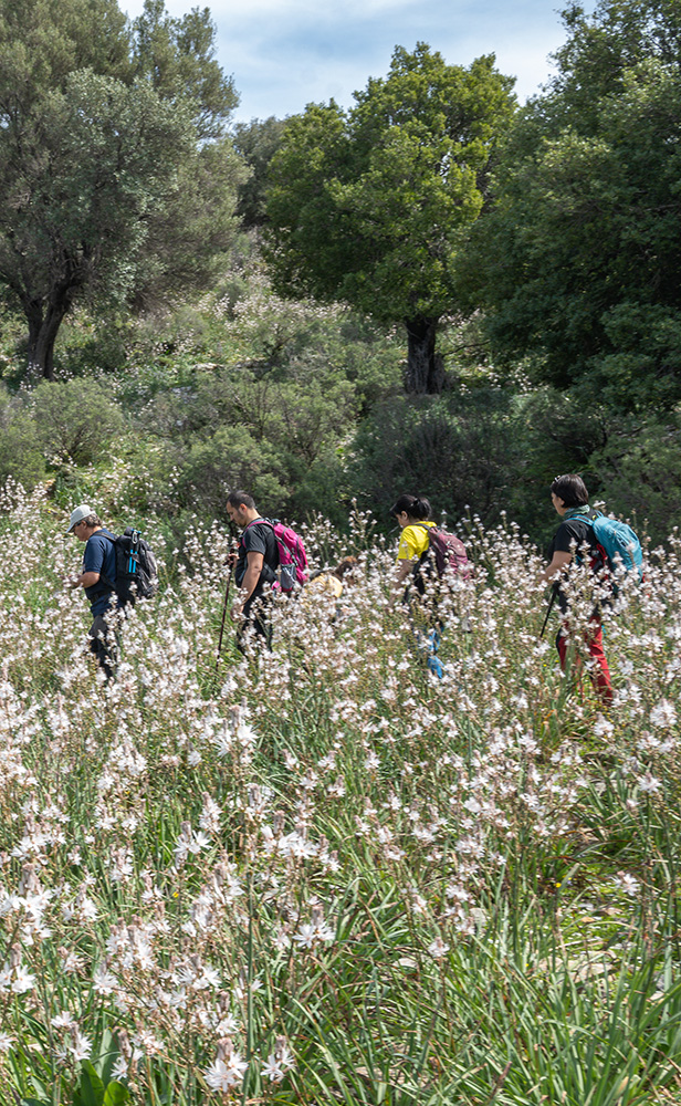 hikig lycian way all year round